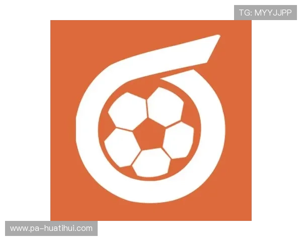 华体会hth·(体育)在体育行业中的发展前景与市场竞争分析 华体会hth·(体育)在体育行业中的发展前景与市场竞争分析