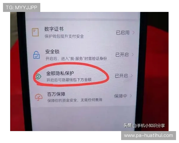 华体会体育官方网址安全登录指南，保障你的账号信息安全与使用顺畅
