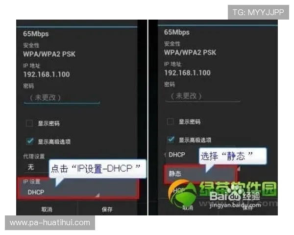 华体会体育手机版会员登录遇到问题的解决方案详解