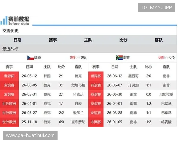 捷克对南非比赛前的比赛场地影响因素与比赛环境分析